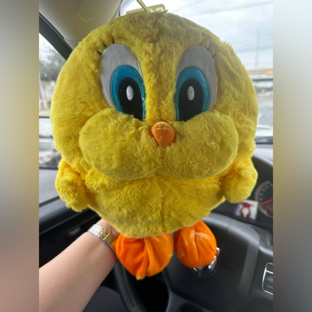 Tweety. Stuffed pillow. From Six Flags
